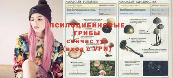 меф Армянск